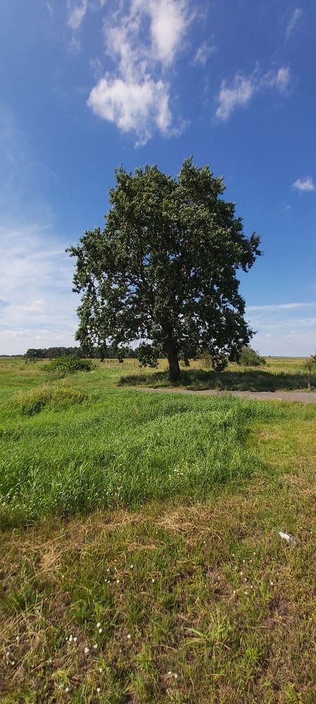 Лето пришло.