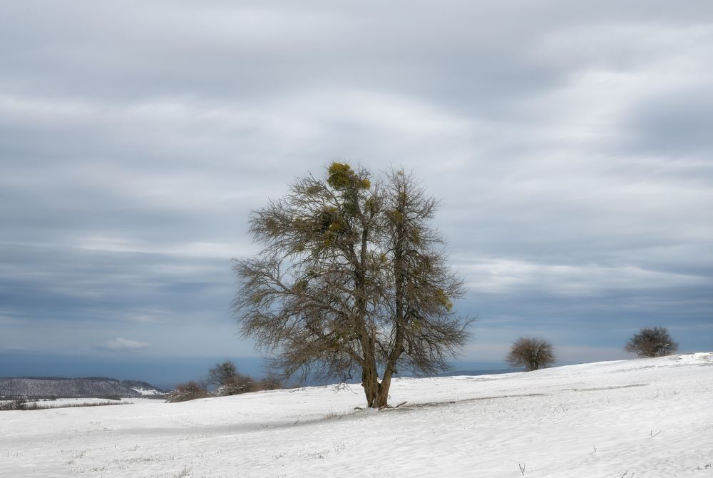 Photograph by Ирина Ульянова