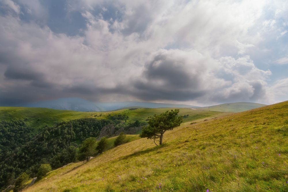 Photograph by Ирина Ульянова