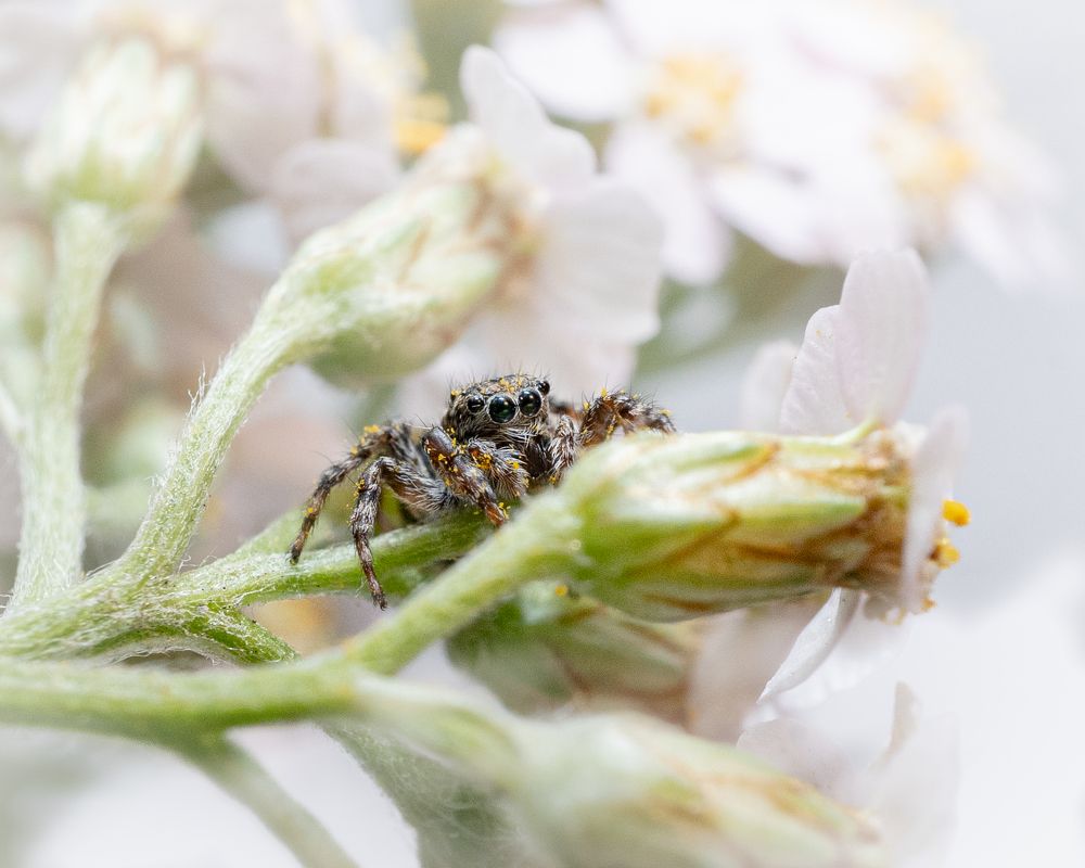 Photograph by Tatiana Grinko