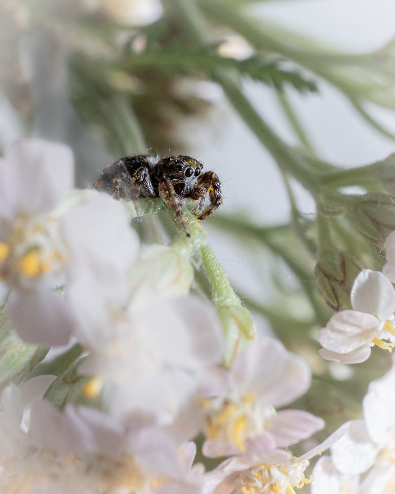 Photograph by Tatiana Grinko