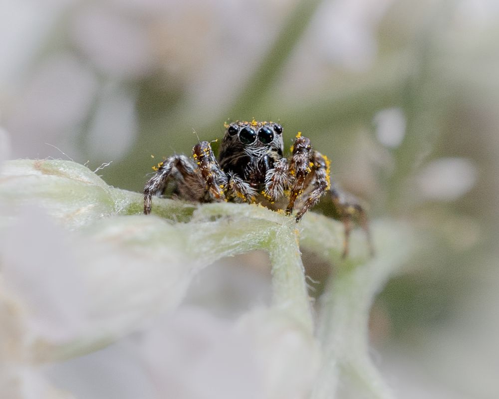 Photograph by Tatiana Grinko