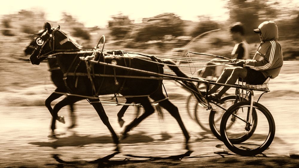 Photograph by Vikraman Velusamy