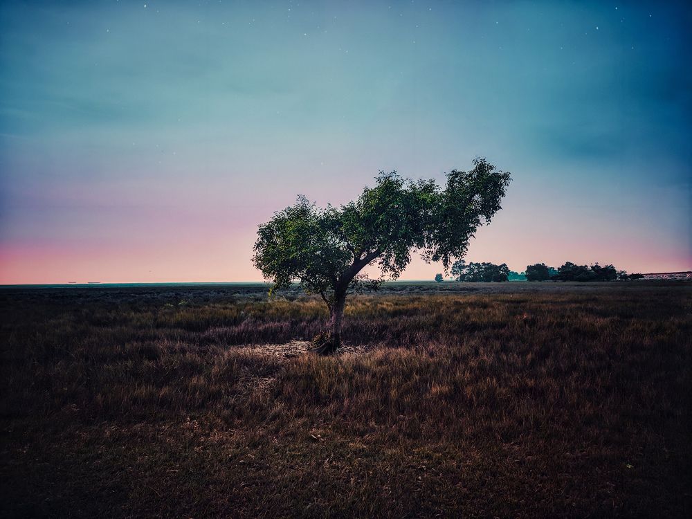 Photograph by Sabbir Sajin
