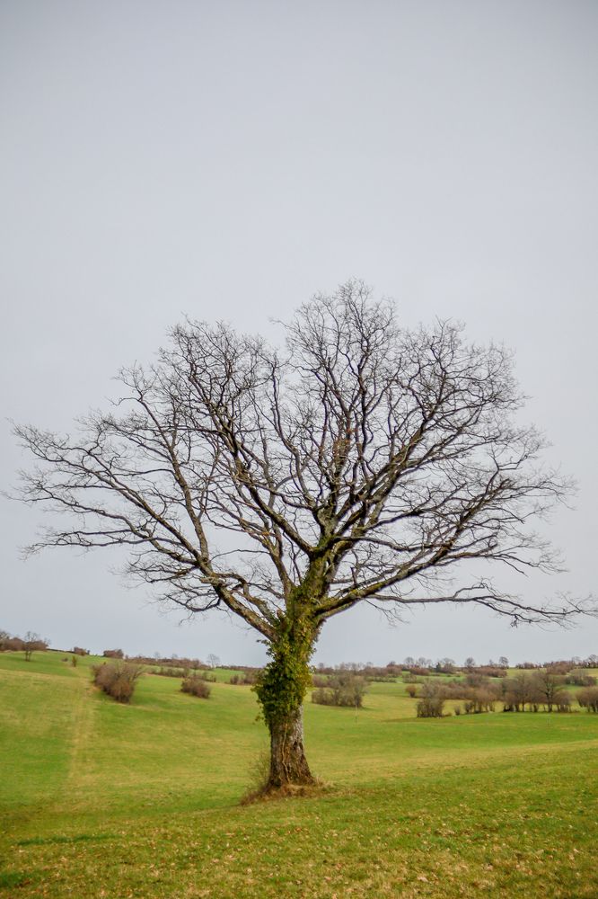 Photograph by Оксана Хабарова