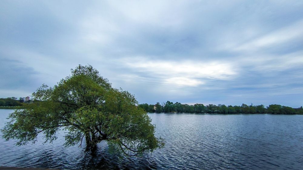 Photograph by Оксана Хабарова