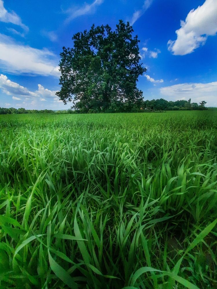 Фотография автора Irina Vornacheva