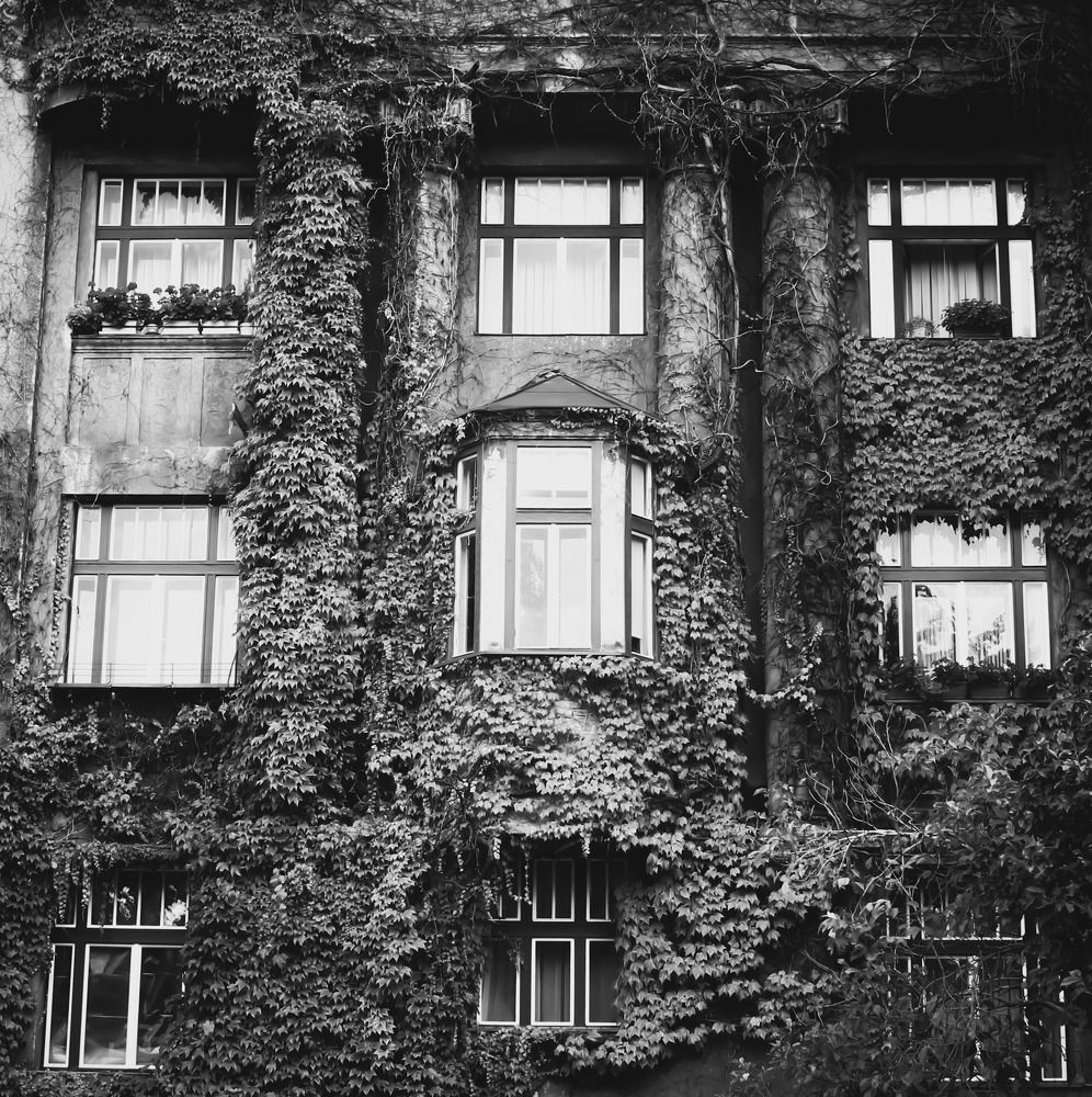 Photograph by Андрей Безгин