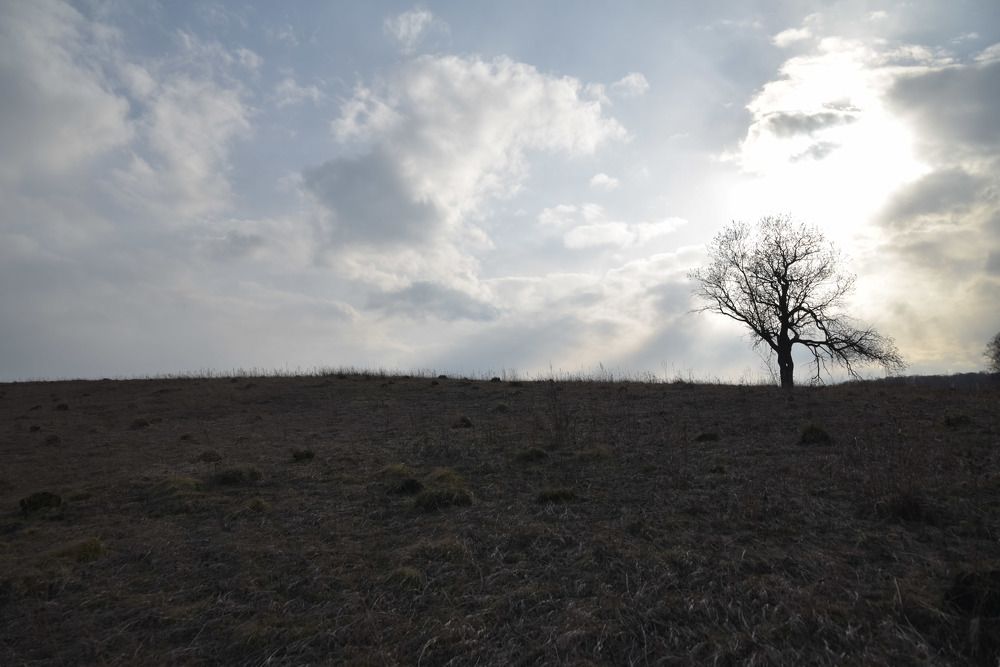 Photograph by Наталья Сорокина