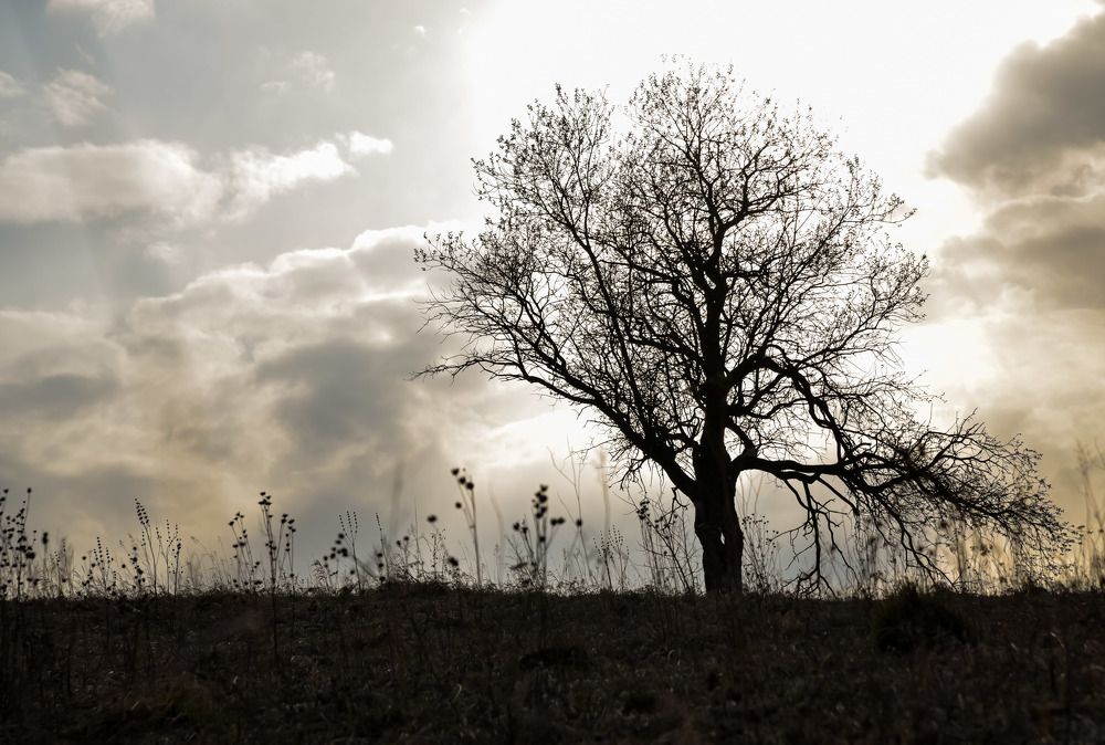 Photograph by Наталья Сорокина