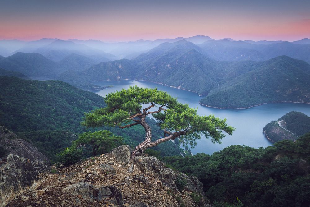 Photograph by NGUYEN NGOC SON