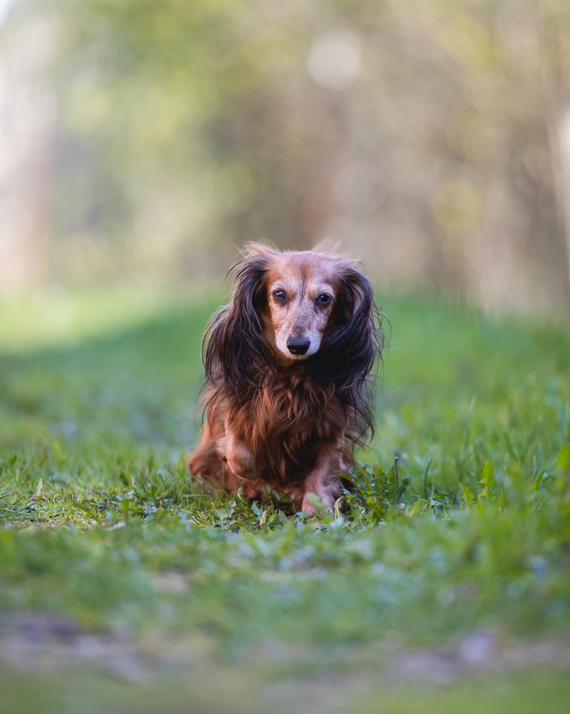Photograph by Владимир Охрименко