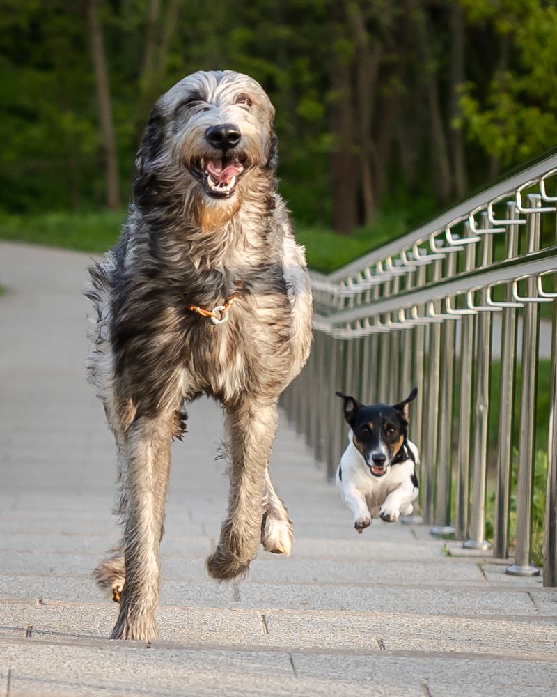 Photograph by Владимир Охрименко