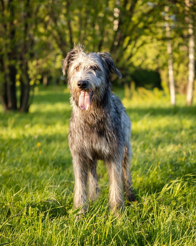 Photograph by Владимир Охрименко
