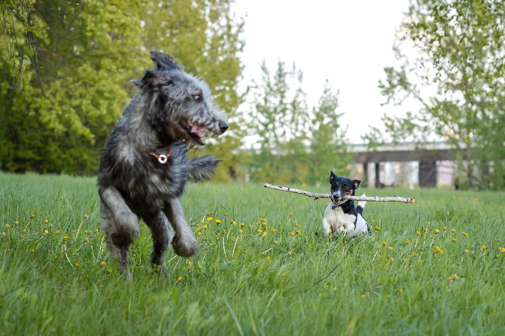Photograph by Владимир Охрименко
