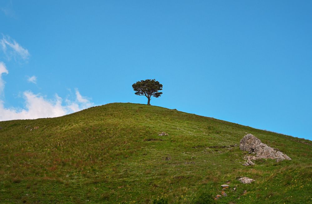 Photograph by Inna Ivanova