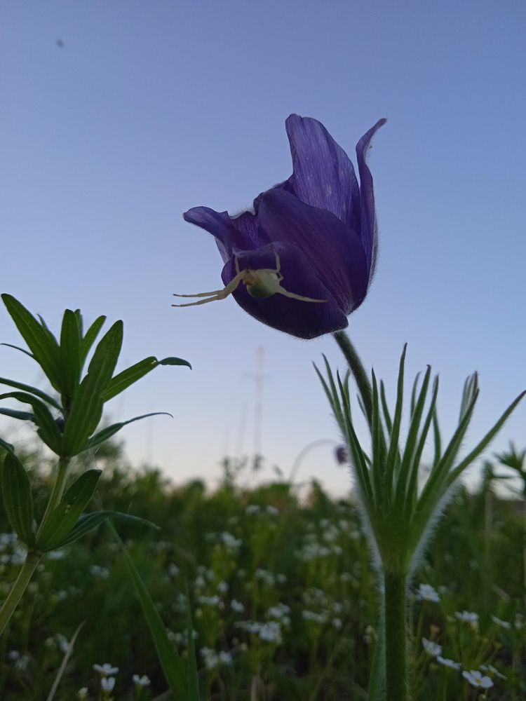 Photograph by Наталья Сорокина