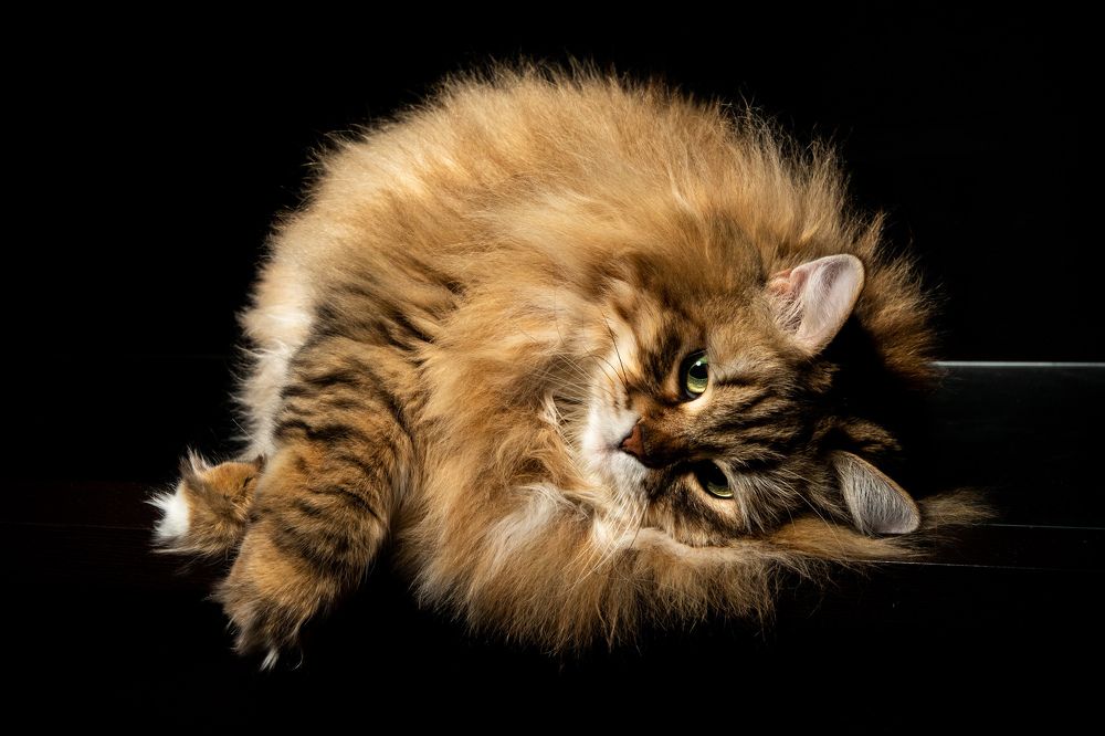 Photograph by Владимир Охрименко