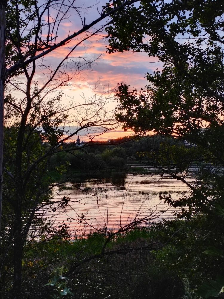 Photograph by Анастасия Проскурнова