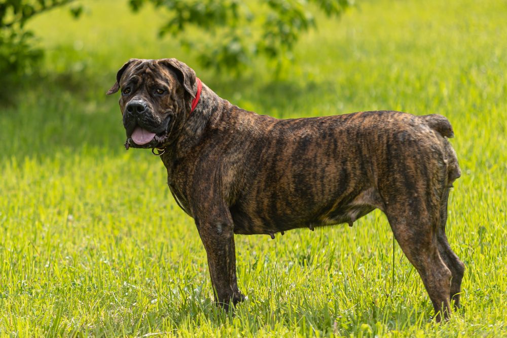 Photograph by Владимир Охрименко