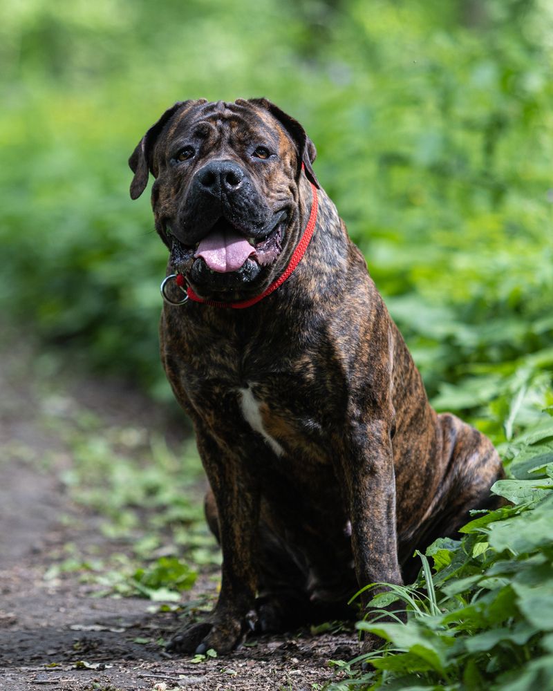 Photograph by Владимир Охрименко