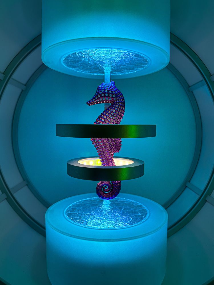 Photograph by Daria Kupchus