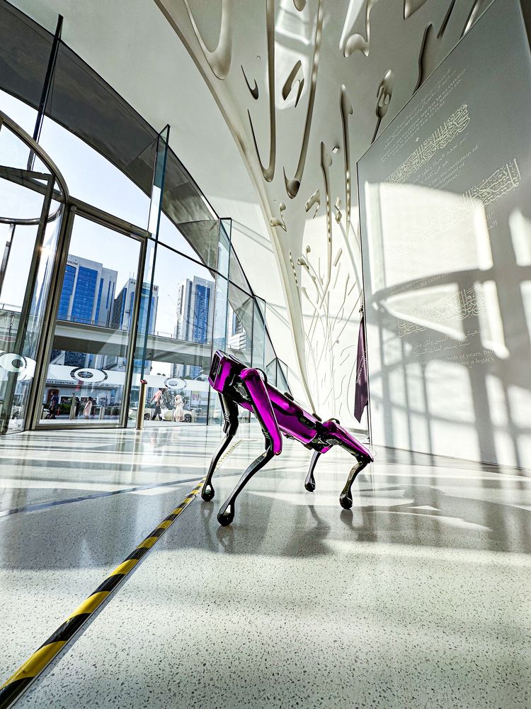 Photograph by Daria Kupchus