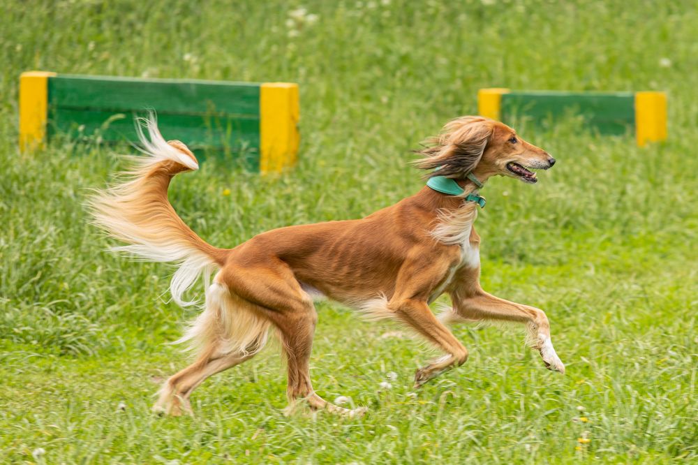 Photograph by Владимир Охрименко