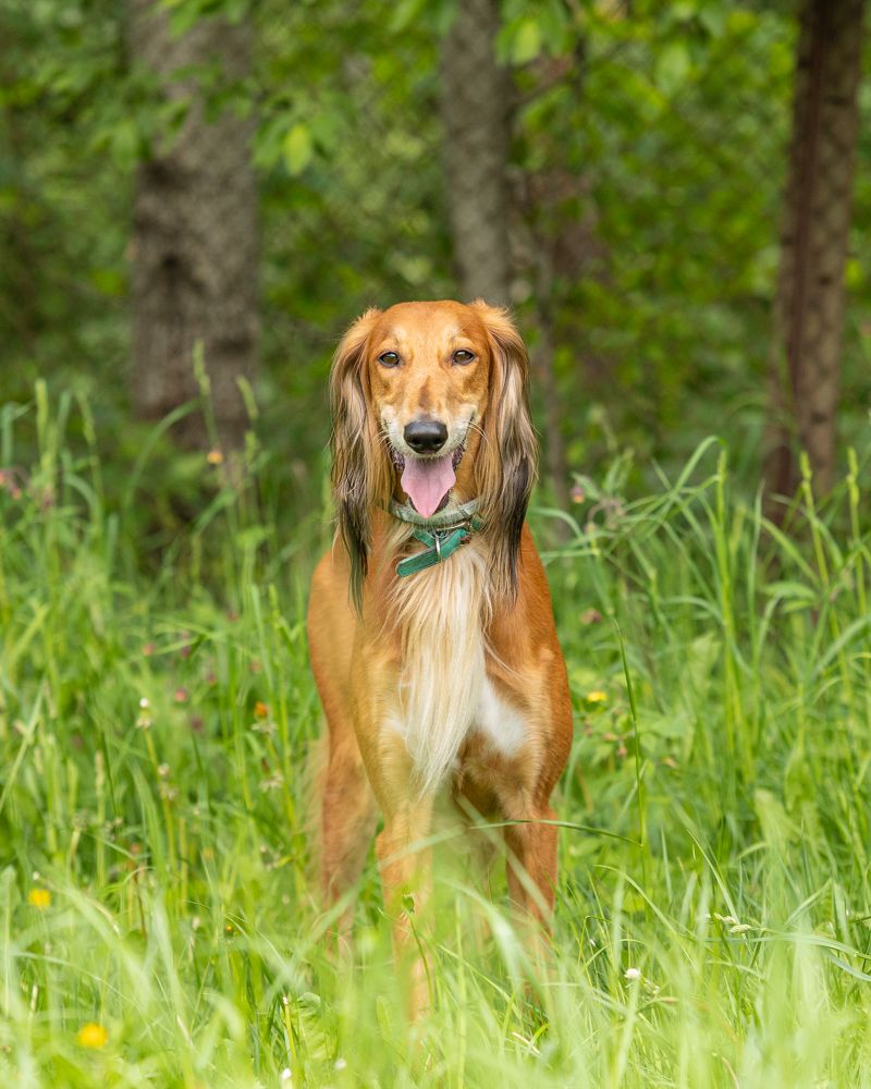Photograph by Владимир Охрименко