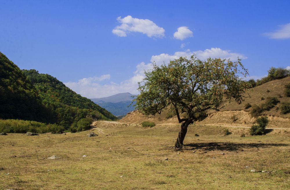 Photograph by Владимир Охрименко