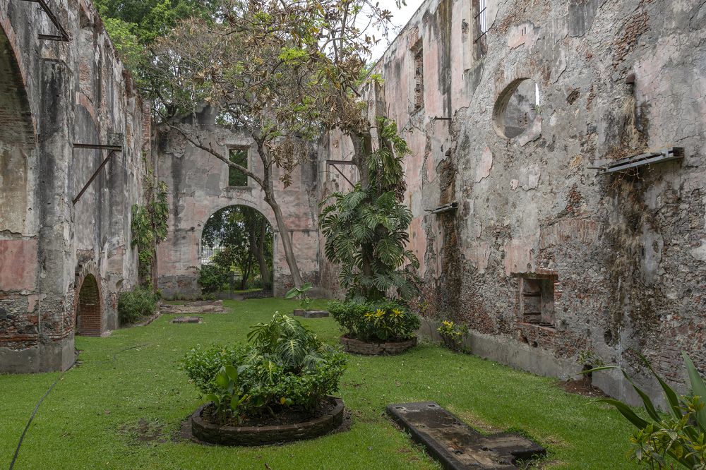 Photograph by gustavo gatto