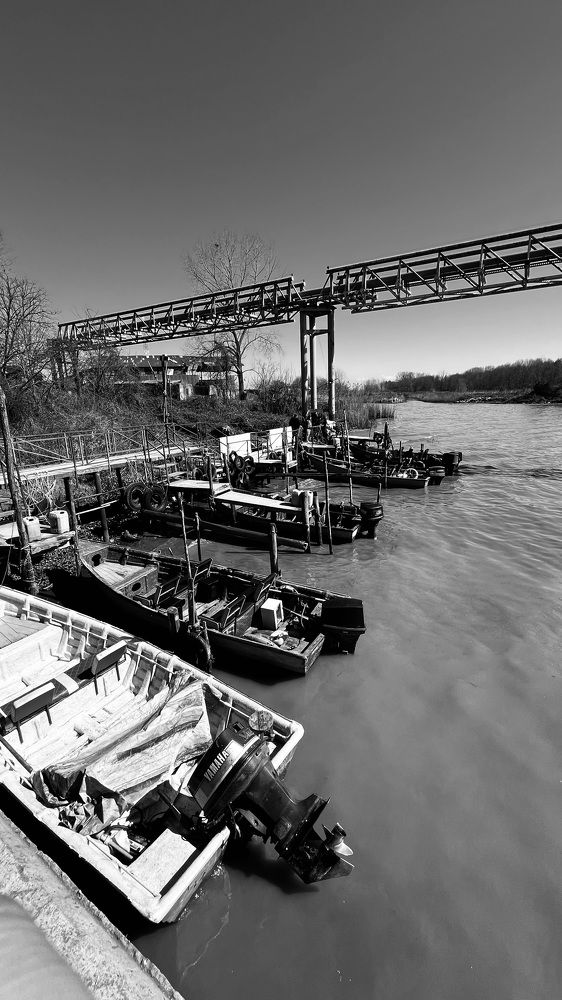 Photograph by Kasra Saadatju