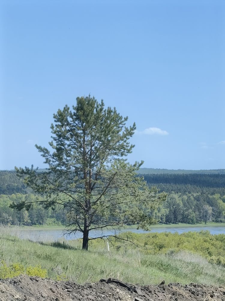 Photograph by Сергей Гриднев