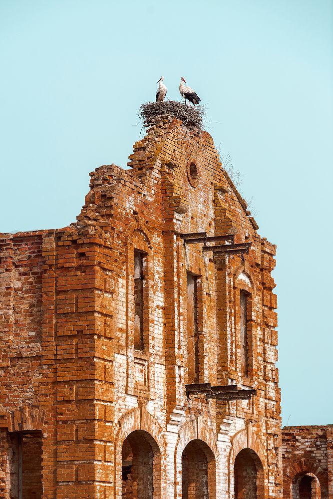 Photograph by Ольга Городецкая