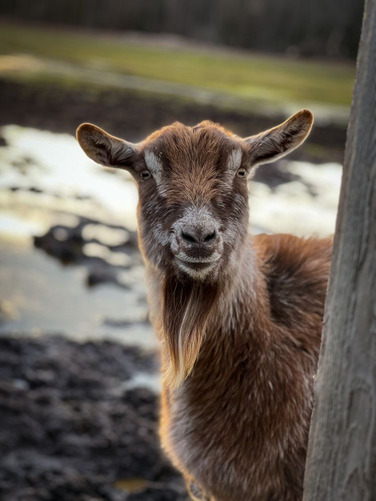Photograph by Анжелика Александрова