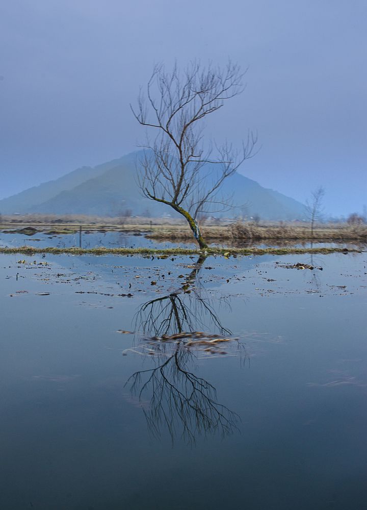 Фотография автора Afzal Khan