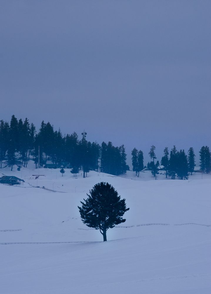 Фотография автора Afzal Khan