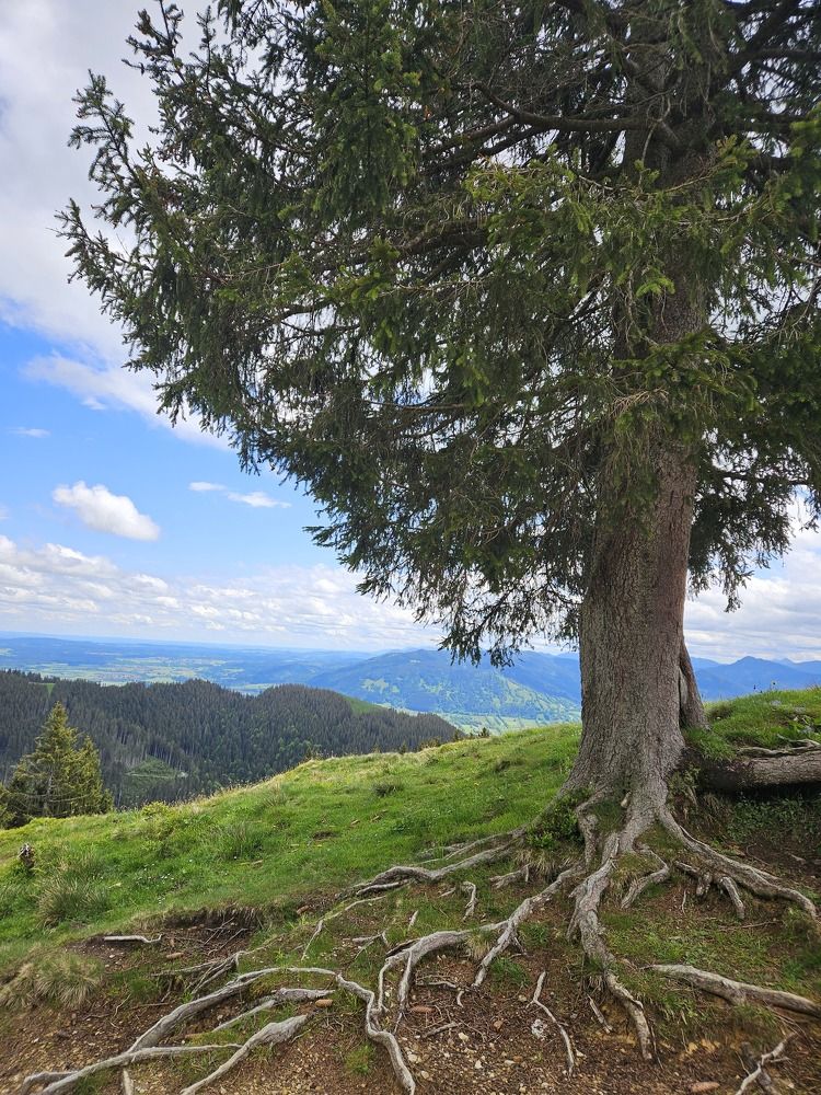 Фотография автора ANNA ILICHEVA