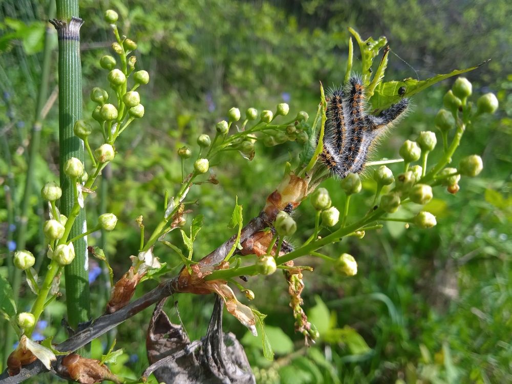 Photograph by Наталья Сорокина