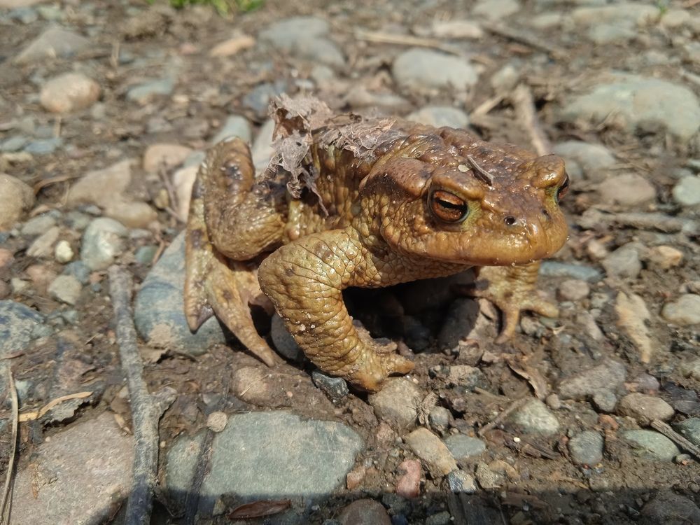 Photograph by Наталья Сорокина