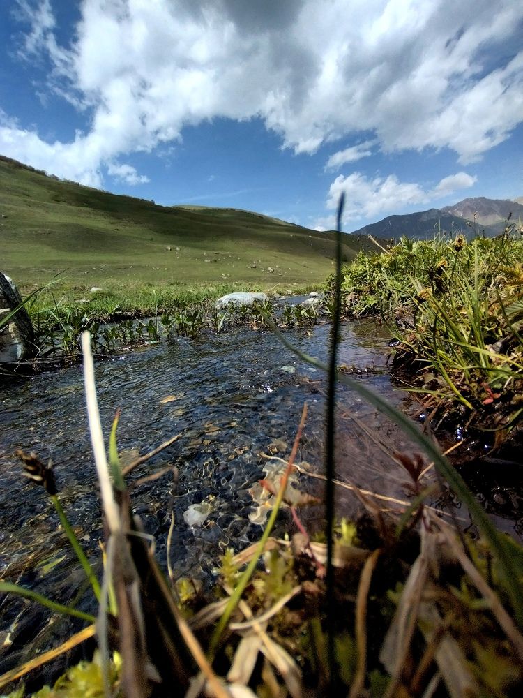 Photograph by Юлия Расторгуева