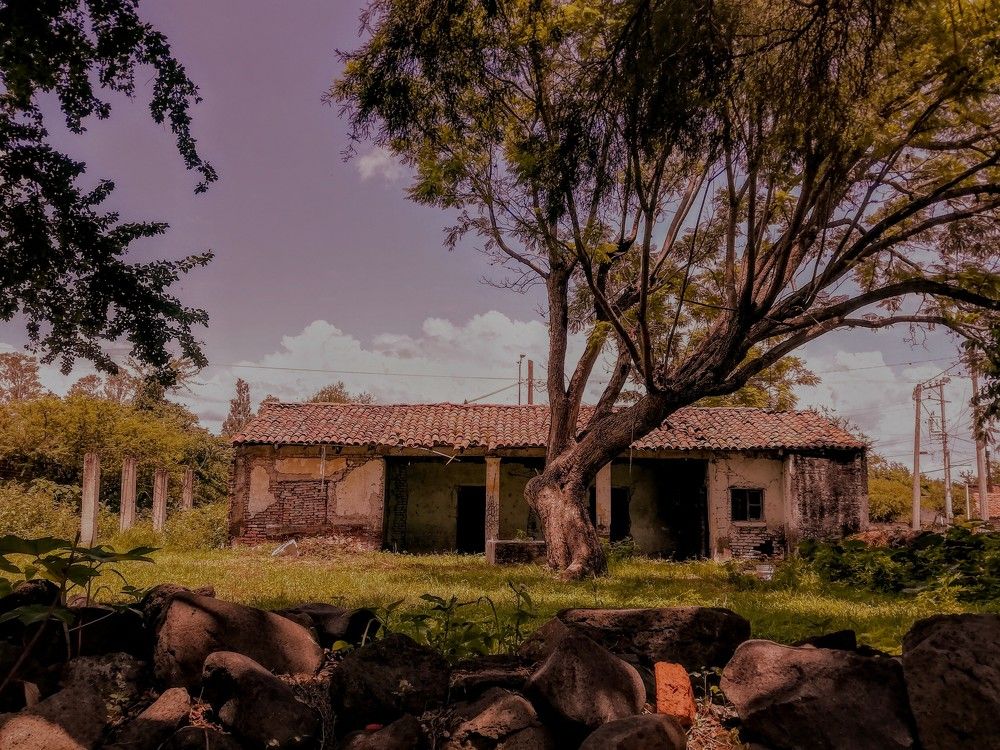 Photograph by Andrea Alcalá