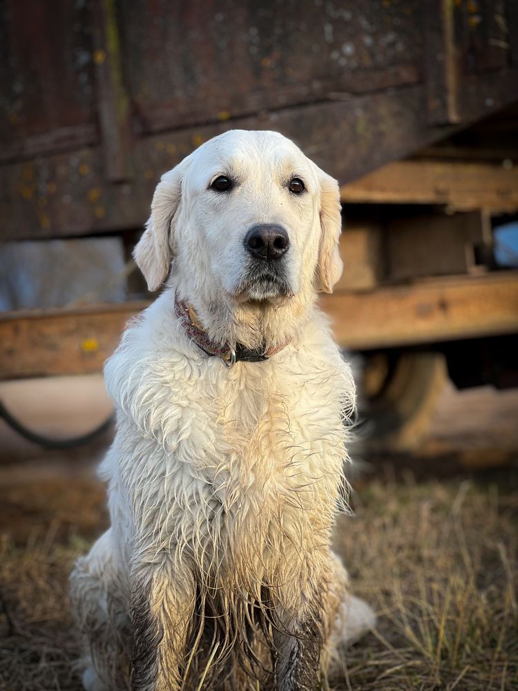 Photograph by Анжелика Александрова