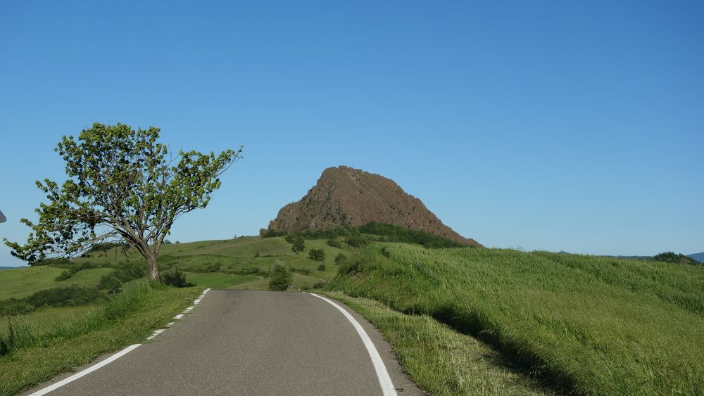 albero solitario sulla strada che porta al monte