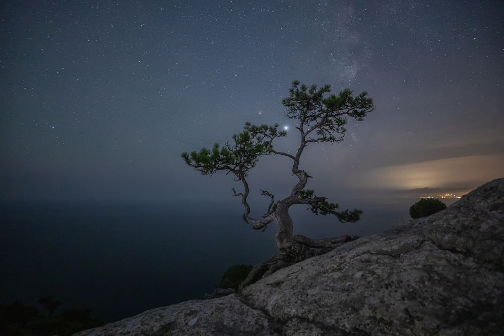 Фотография автора Alexander Pashenichev