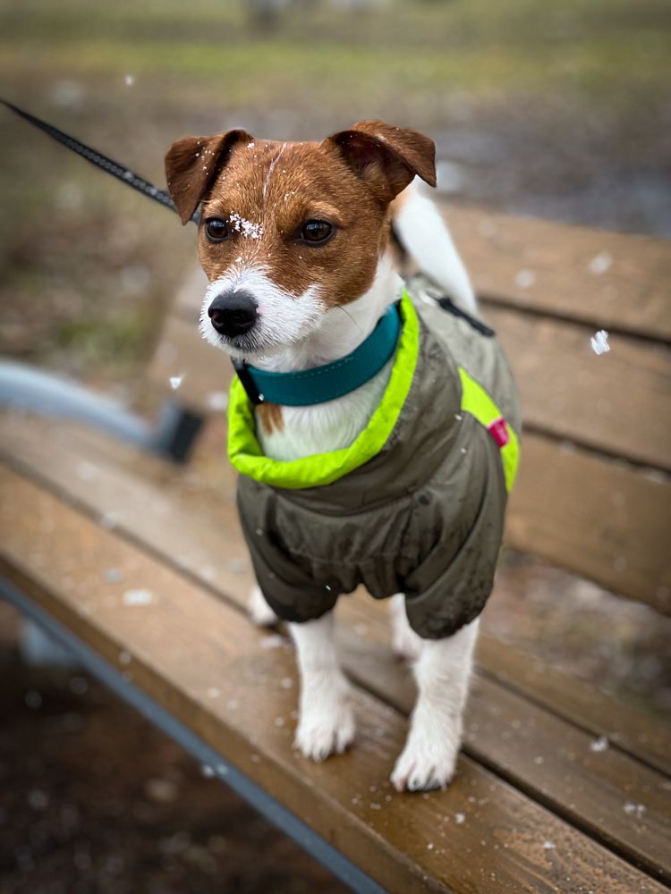 Photograph by Анжелика Александрова