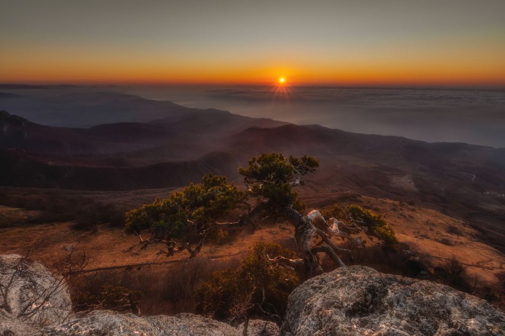 Photograph by Ирина Ульянова