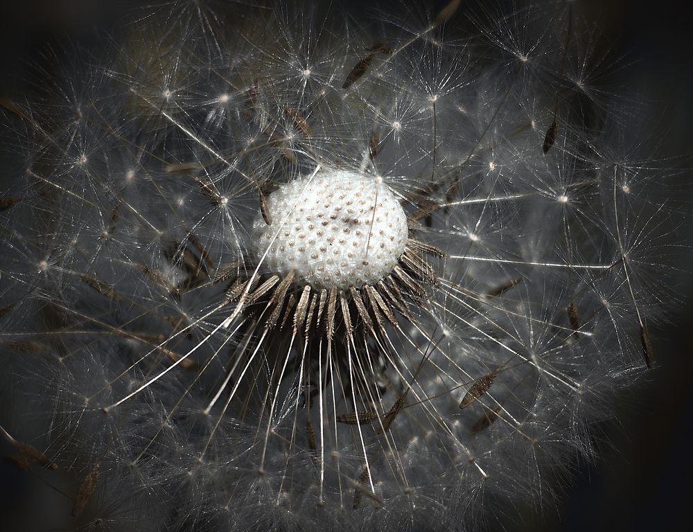 Photograph by Сергей Горелов