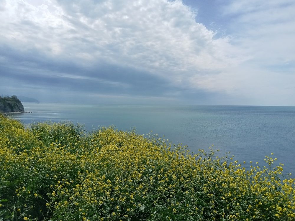 Фотография автора Natalia Khodina