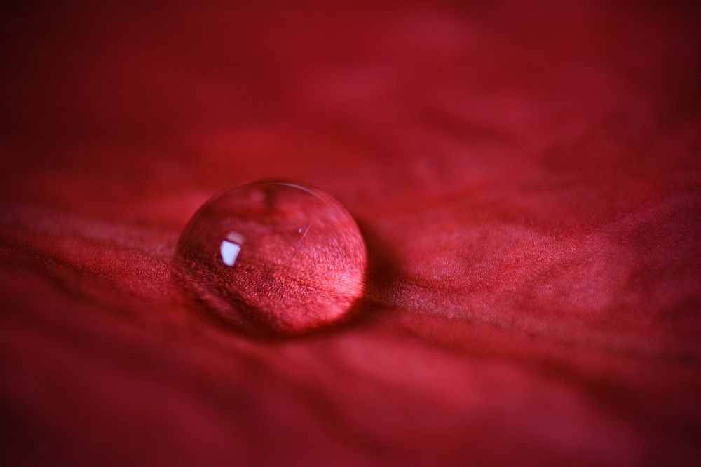 Photograph by Kaustav Ghosh